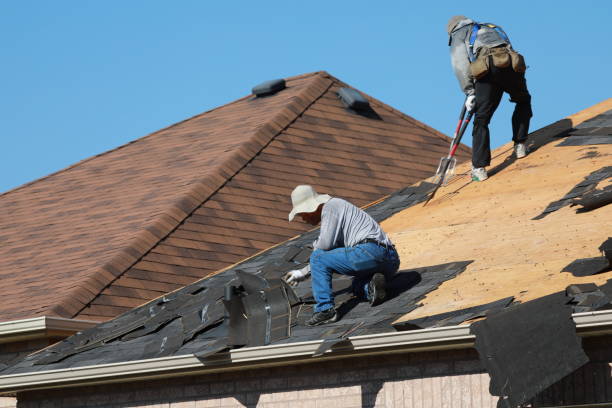Best Storm Damage Roof Repair  in Gunbarrel, CO