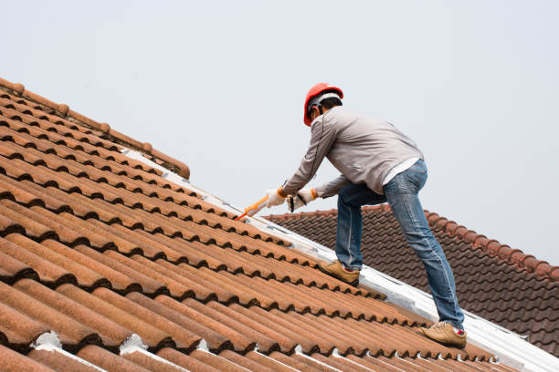 Best Roof Ventilation Installation  in Gunbarrel, CO